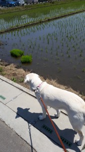 20160603_112233[1]