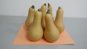 DSCN1192